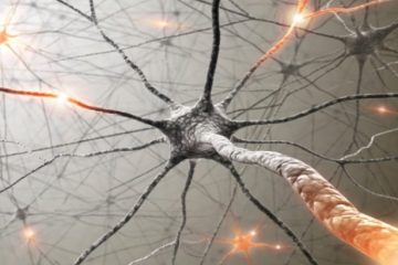 NEURÔNIO ARTIFICIAL E AS CÉLULAS HUMANAS