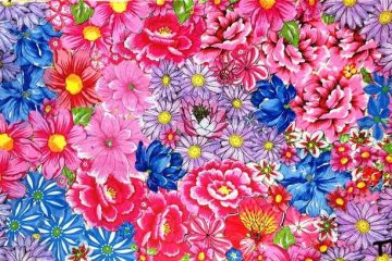 ELA COLORE A VIDA COM JARDINS DE CHITA