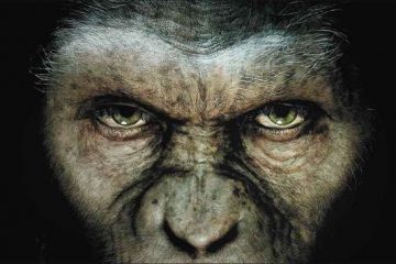 SAPIENS POR QUE? SOMOS DA MESMA FAMILIA