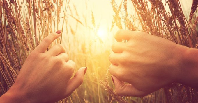 32738-wheatfield-sun-joy.1200w.tn.jpg