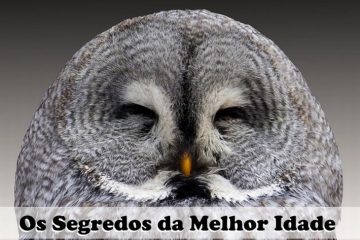 A DOCE SABEDORIA DOS ANOS