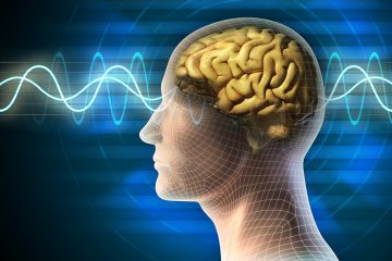 TUDO O QUE VOCÊ DEVE SABER SOBRE EMOÇÕES …