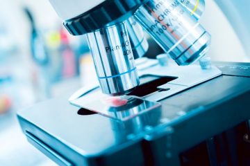 CIENTISTAS DESCOBREM NOVO ÓRGÃO HUMANO!