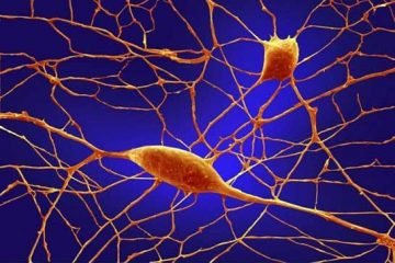 MOLÉCULA RESPONSÁVEL PELA DOENÇA DE  ALZHEIMER
