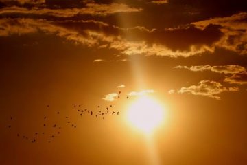 O SOL TAMBÉM TEM SEUS BENEFÍCIOS